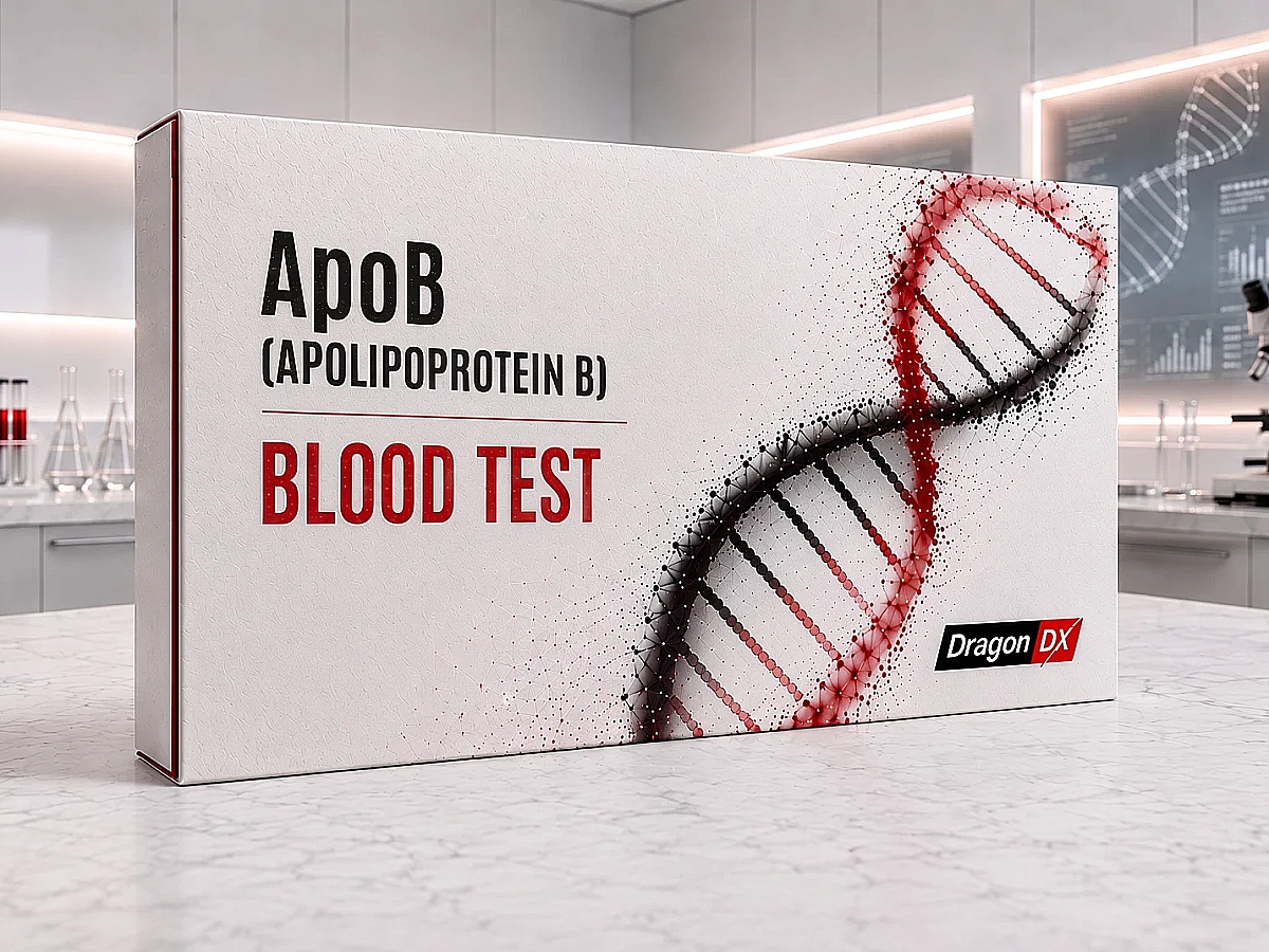 ApoB Blood Test (Apolipoprotein B)